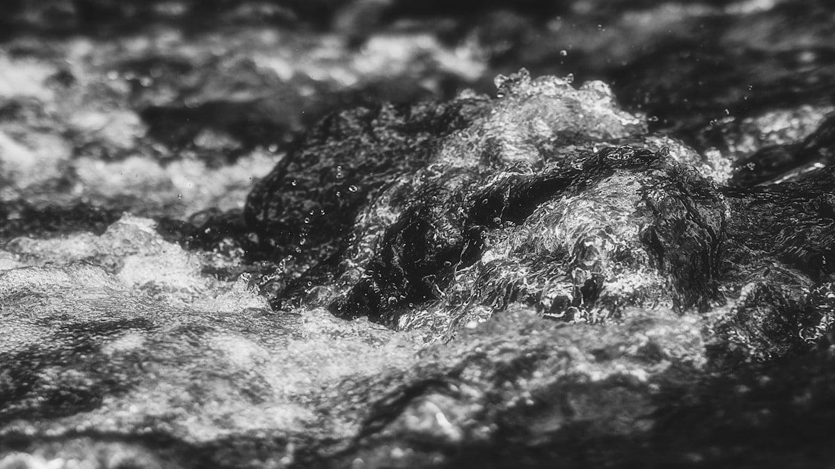 a black and white photo of a river